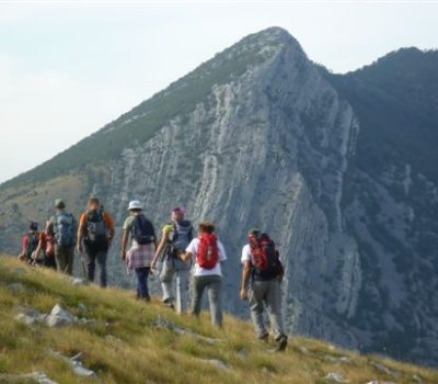 UIMLA OCJENJIVALA VODIČKI TEČAJ