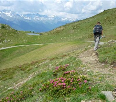 Diplome su za život, a vođenje u planinama je za radost