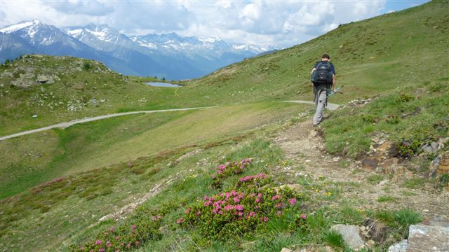 Diplome su za život, a vođenje u planinama je za radost