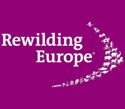 Rewilding Europe