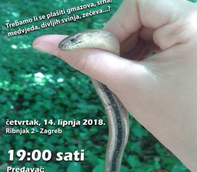 Životinje koje susrećemo u prirodi