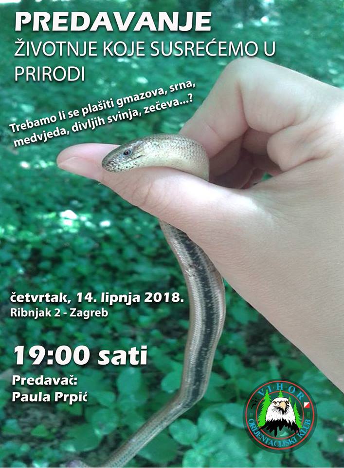 Životinje koje susrećemo u prirodi